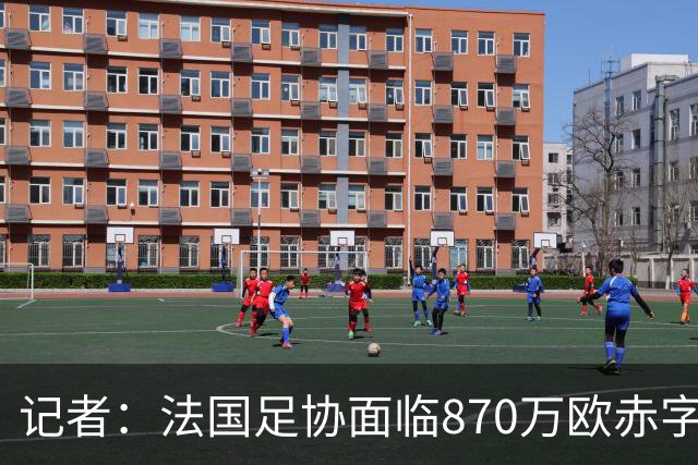 记者：法国足协面临870万欧赤字，却花1200万订世界杯下榻酒店